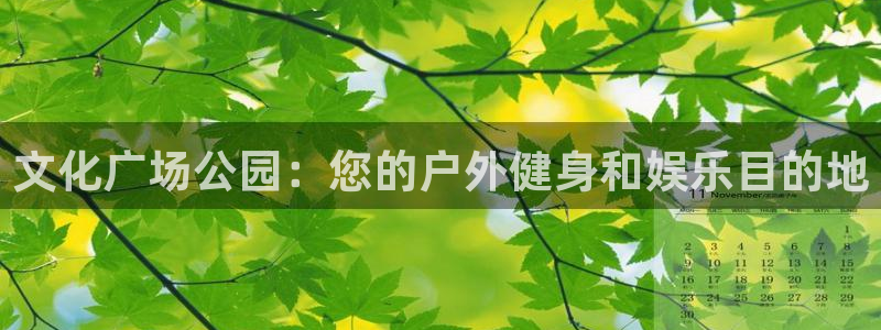 極悅平臺(tái)用戶反饋和反饋一樣嗎：文化廣場(chǎng)公園：您的戶外