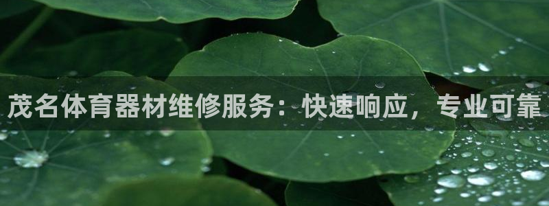 極悅娛樂(lè)公司最新招聘信息：茂名體育器材維修服務(wù)：快速