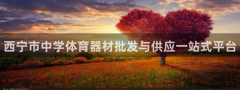 極悅娛樂(lè)官網(wǎng)入口下載：西寧市中學(xué)體育器材批發(fā)與供應(yīng)一