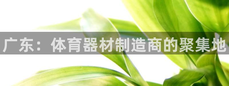 極悅平臺官方網站下載安裝：廣東：體育器材制造商的聚集