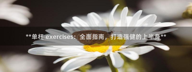 極悅平臺(tái)注冊(cè)官網(wǎng)下載：**單杠 exercises：