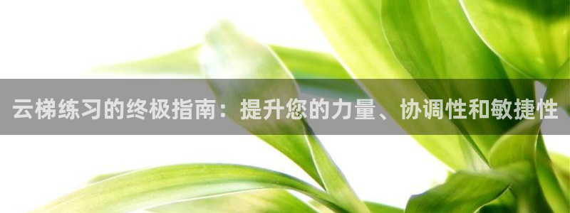 極悅平臺平臺注冊方法與步驟視頻：云梯練習的終極指南：