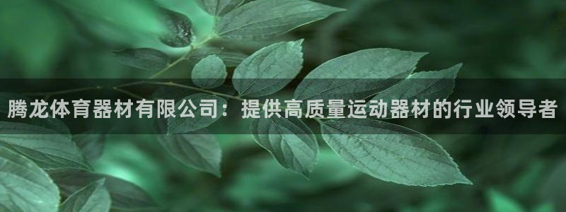 極悅娛樂的最新版本更新內容：騰龍體育器材有限公司：提