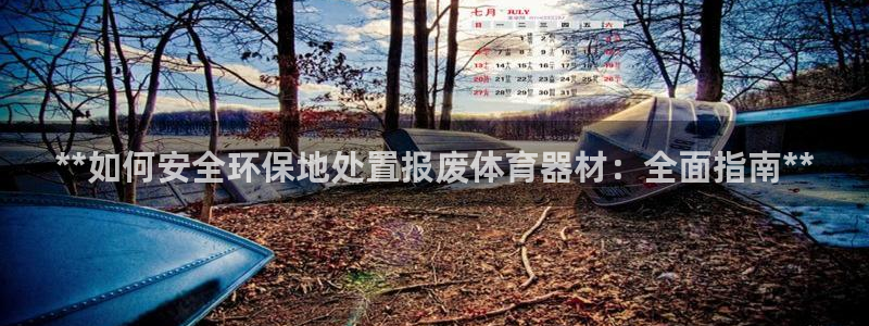 極悅平臺注冊登錄失敗：**如何安全環保地處置報廢體育