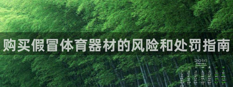 極悅平臺用戶反饋和反饋一樣嗎：購買假冒體育器材的風險